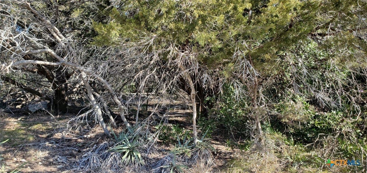 0.39 acres in Bell County - photo 15