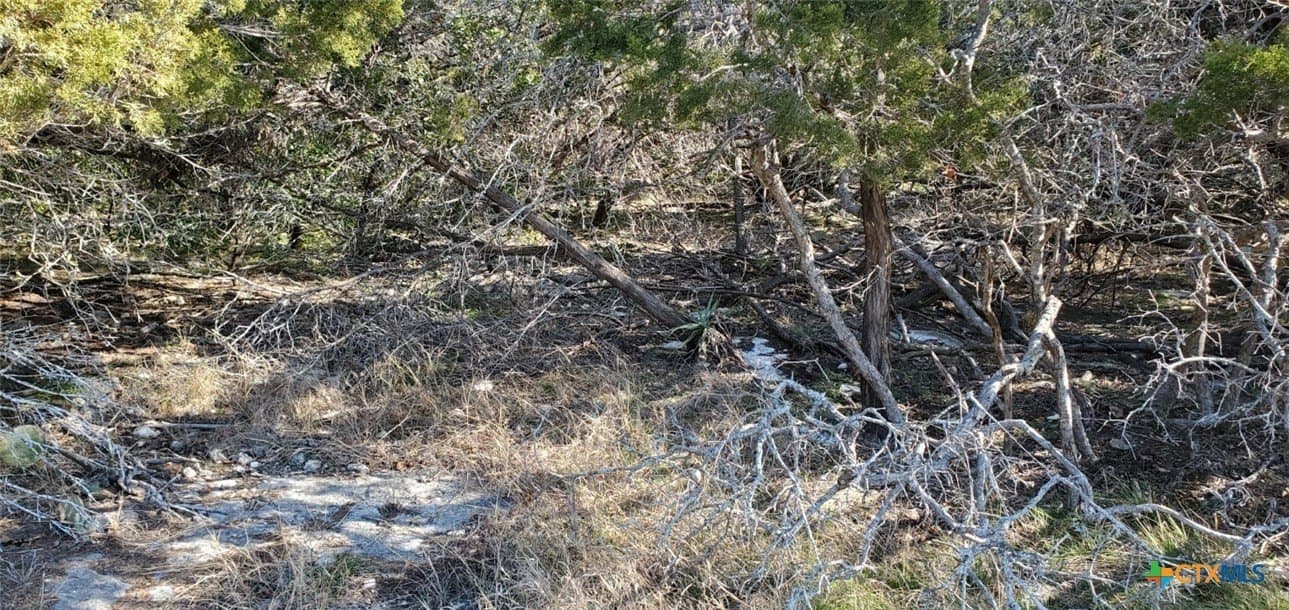 0.39 acres in Bell County - photo 14