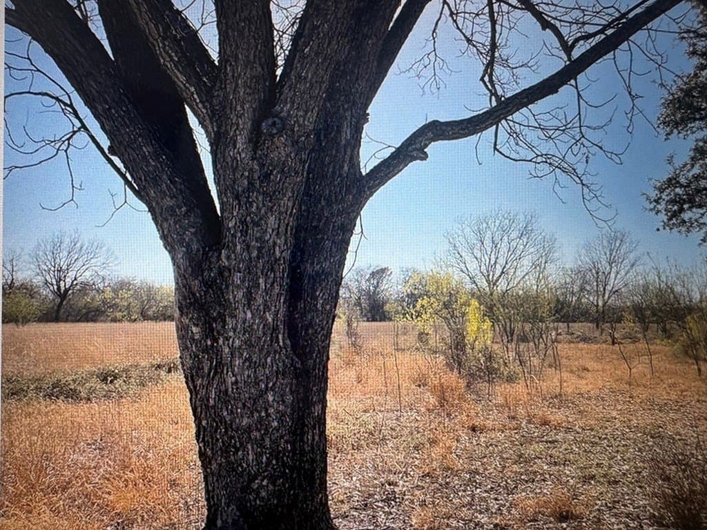 217,800 acres in Maverick County - photo 10
