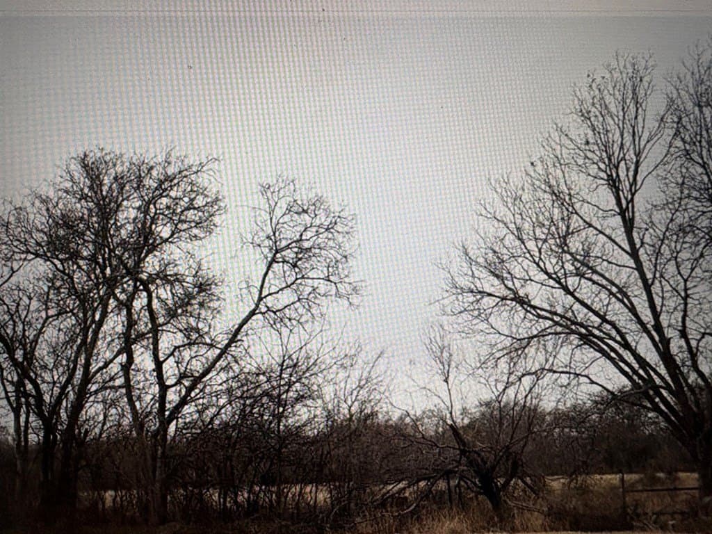 217,800 acres in Maverick County - photo 16