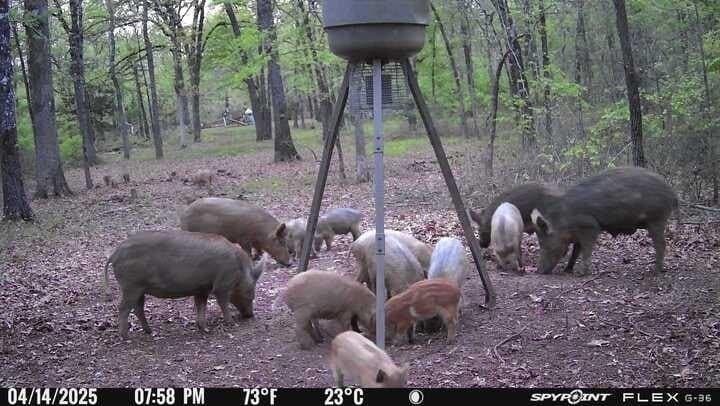 15.35 acres in Lamar County - photo 10
