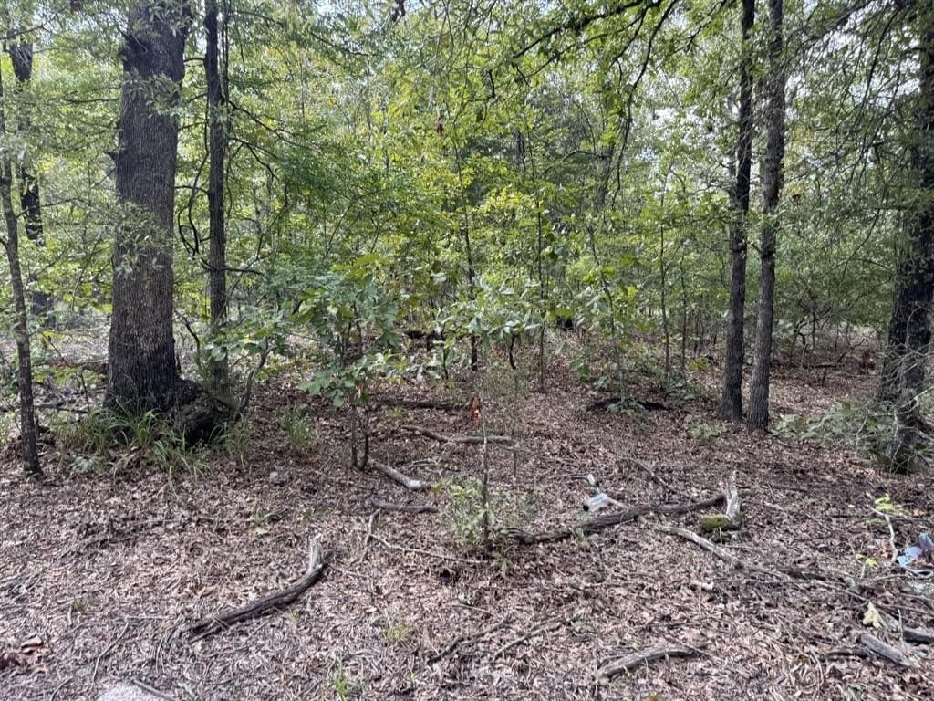 15.35 acres in Lamar County - photo 6