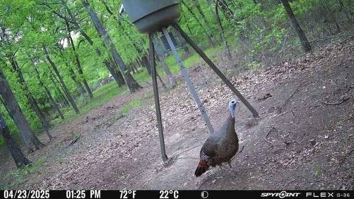15.35 acres in Lamar County - photo 11