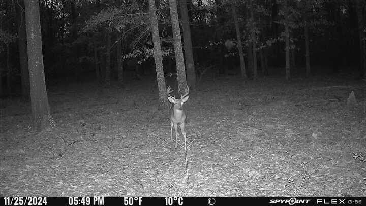 15.35 acres in Lamar County - photo 13