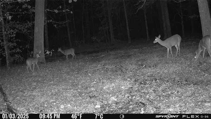 15.35 acres in Lamar County - photo 8