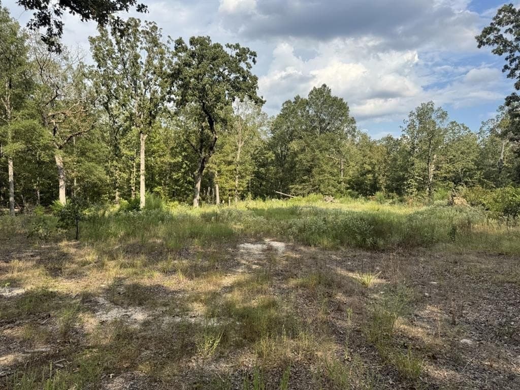 15.35 acres in Lamar County - photo 3