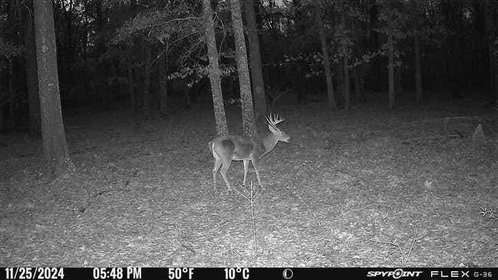 15.35 acres in Lamar County - photo 7