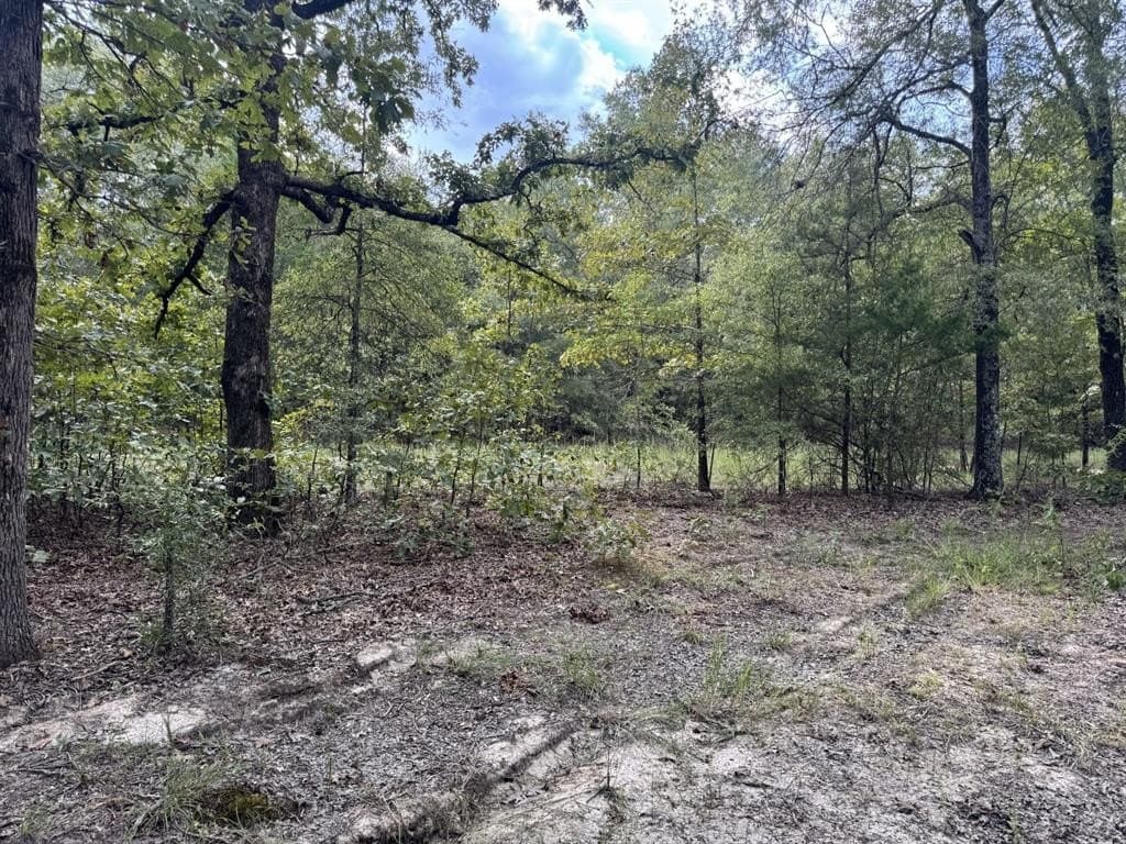 15.35 acres in Lamar County - photo 4