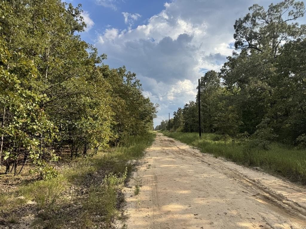 15.35 acres in Lamar County - photo 2
