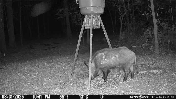 15.35 acres in Lamar County - photo 12