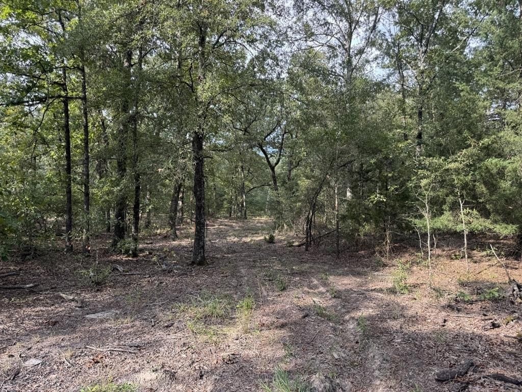 15.35 acres in Lamar County - photo 5