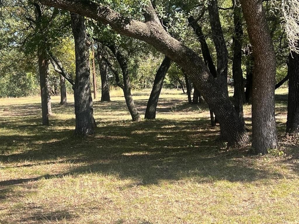 1.49 acres in Parker County - photo 6