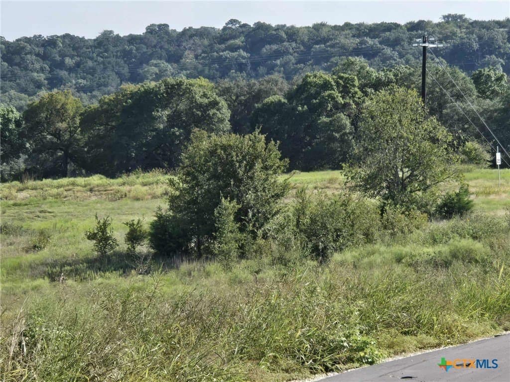 5 acres in Coryell County - photo 3
