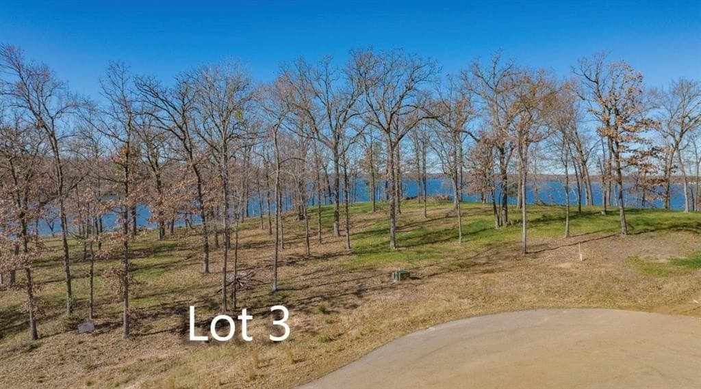 1.07 acres in Camp County - photo 11