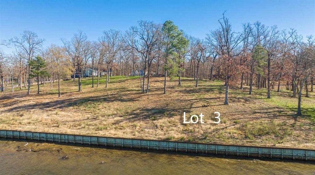 1.07 acres in Camp County - photo 3