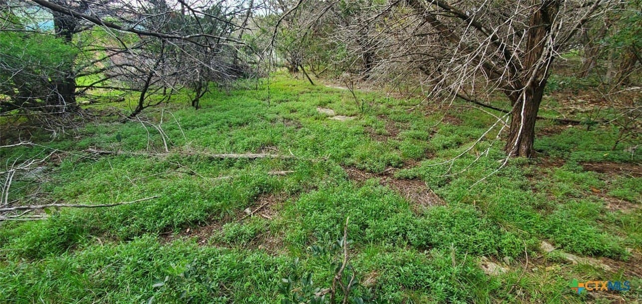 0.34 acres in Bell County - photo 12