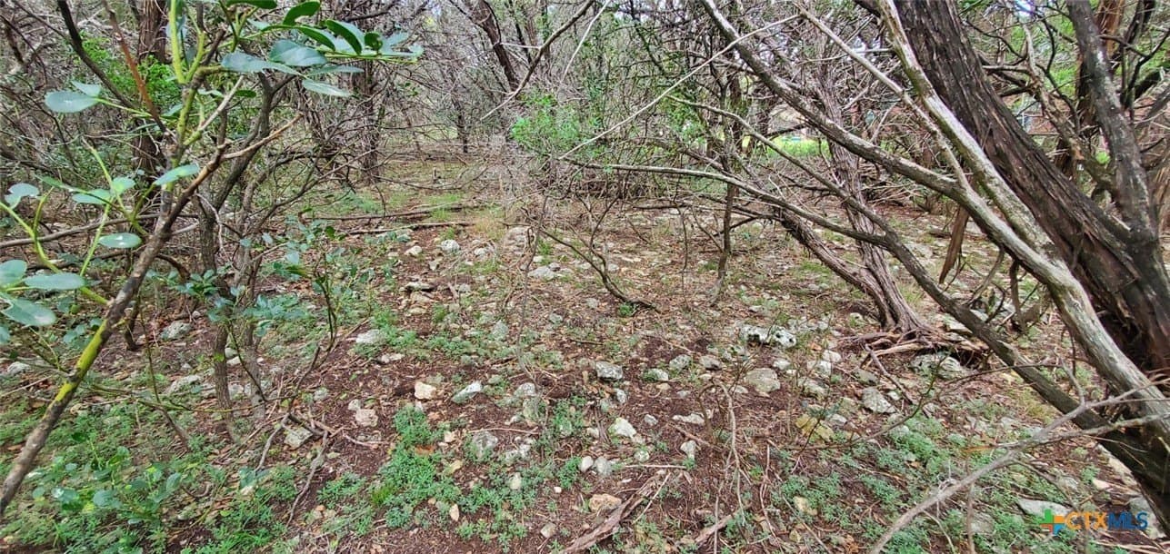0.34 acres in Bell County - photo 19