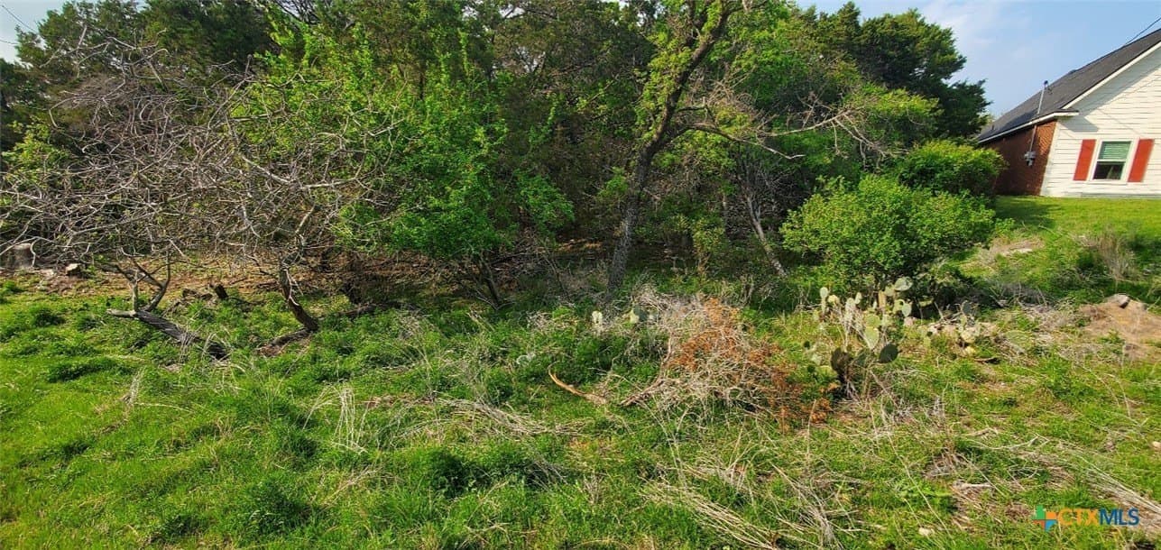0.34 acres in Bell County - photo 4