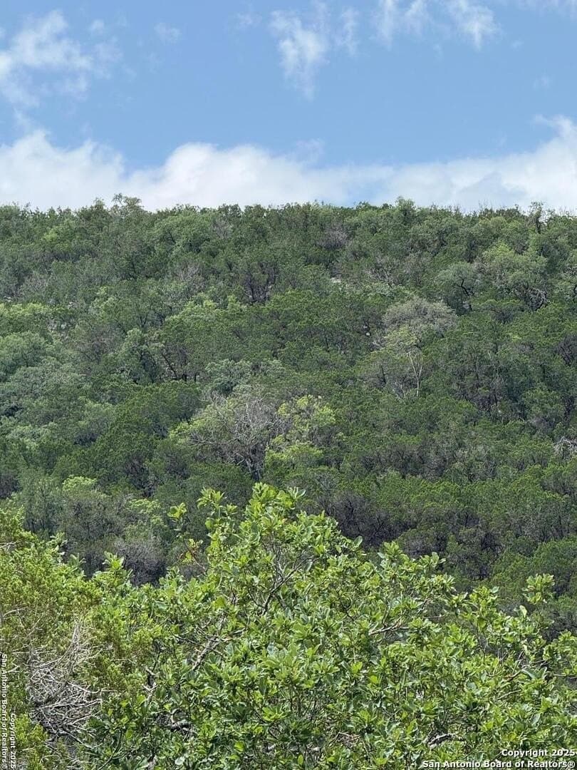 31.77 acres in Bandera County - photo 15