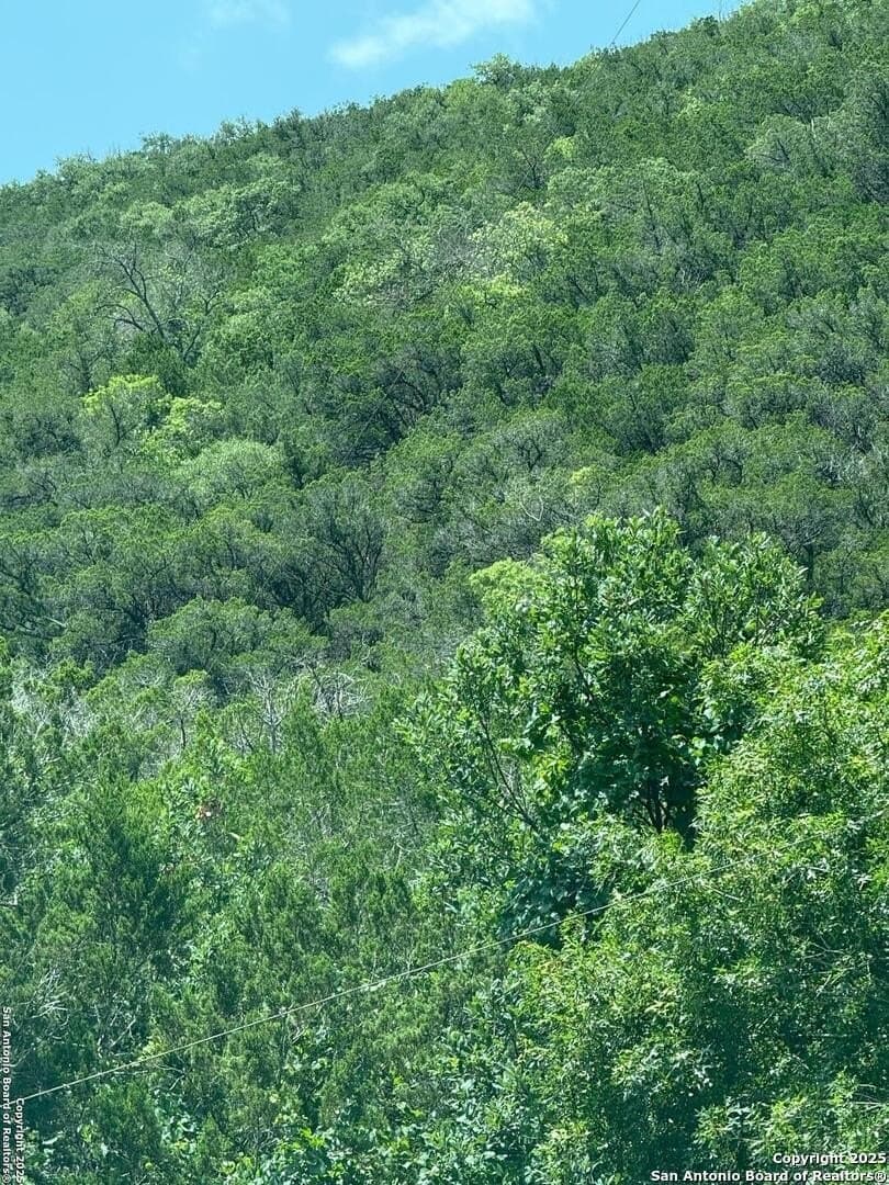 31.77 acres in Bandera County - photo 11