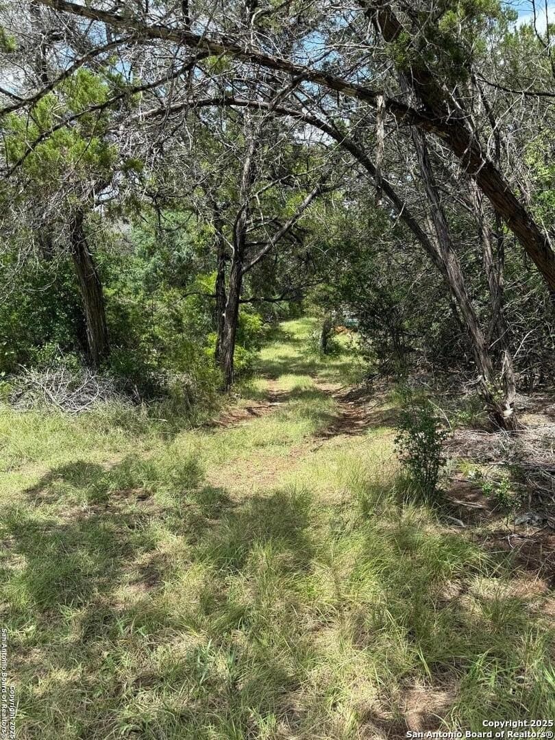 31.77 acres in Bandera County - photo 6