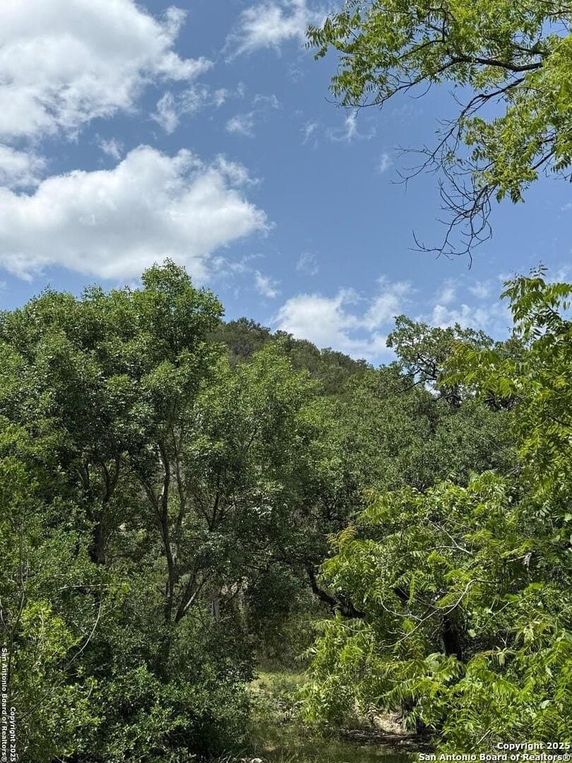 31.77 acres in Bandera County - photo 4