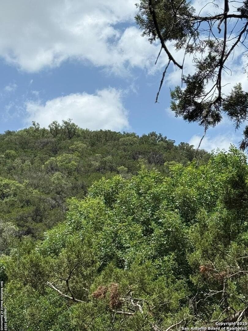 31.77 acres in Bandera County - photo 16