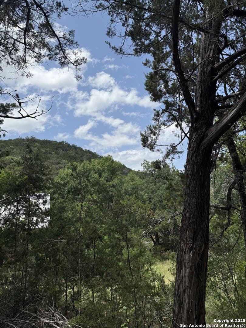 31.77 acres in Bandera County - photo 19