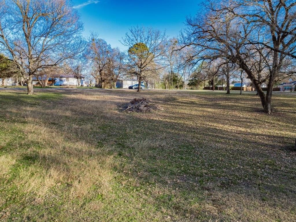 0.27 acres in Rains County - photo 8