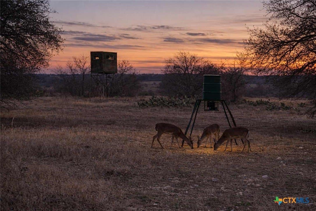 47.13 acres in Hamilton County - photo 7