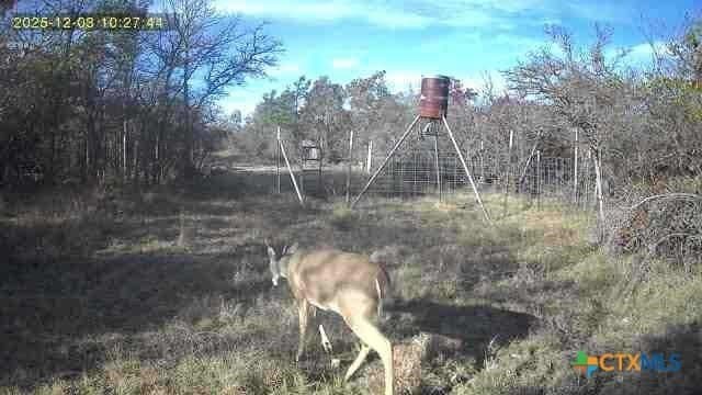 47.13 acres in Hamilton County - photo 33