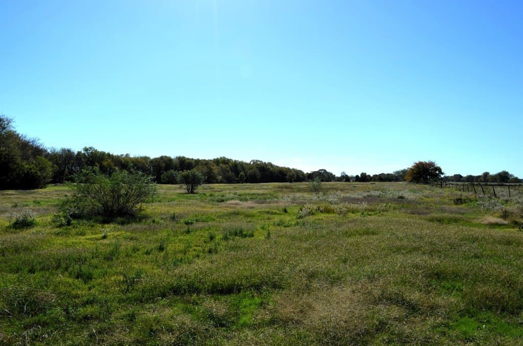 22.01 acres in Van Zandt County - photo 18