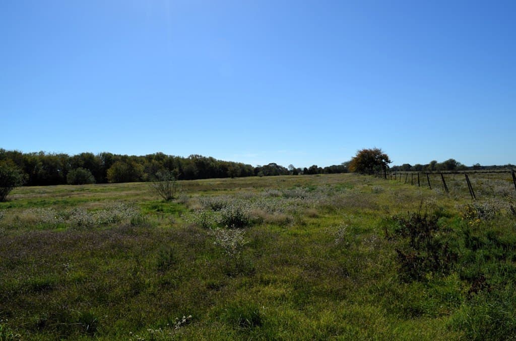 22.01 acres in Van Zandt County - photo 9