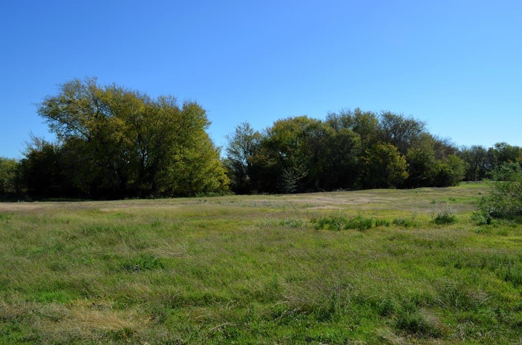 22.01 acres in Van Zandt County - photo 17