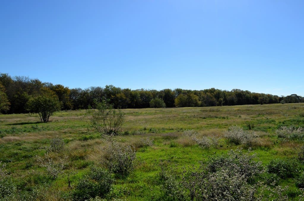 22.01 acres in Van Zandt County - photo 7