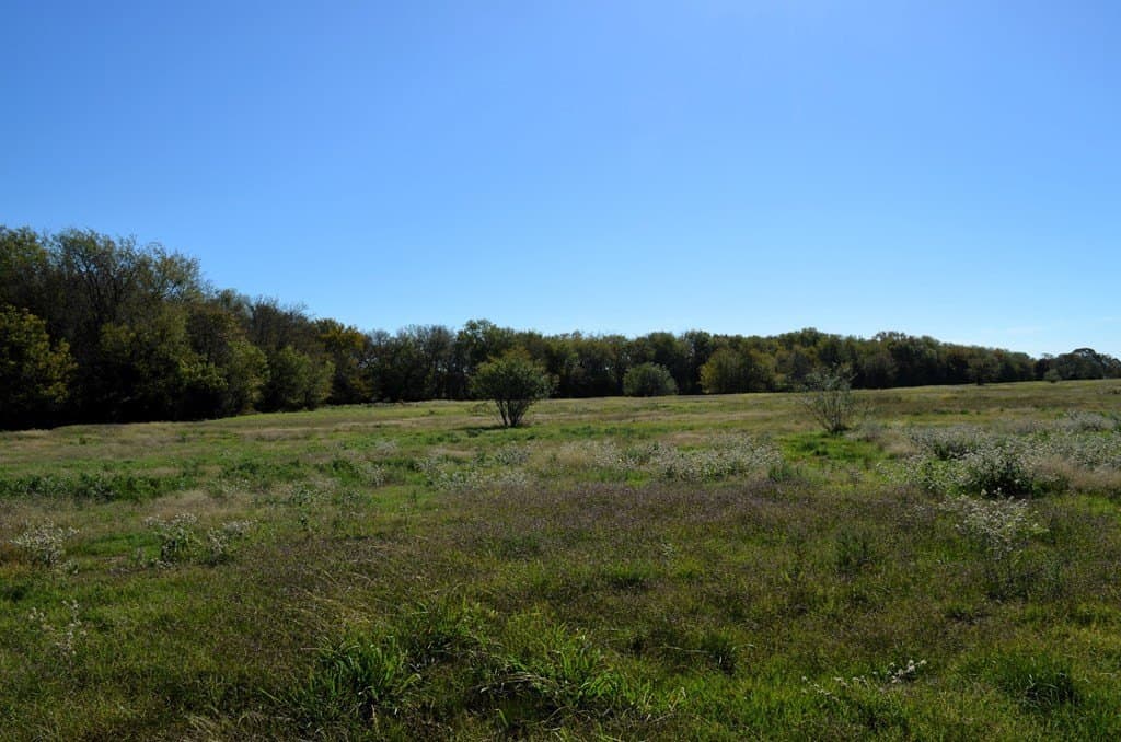 22.01 acres in Van Zandt County - photo 10