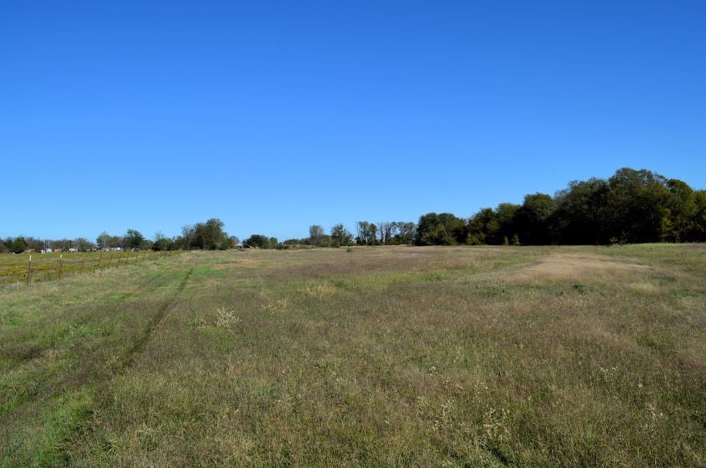 22.01 acres in Van Zandt County - photo 4