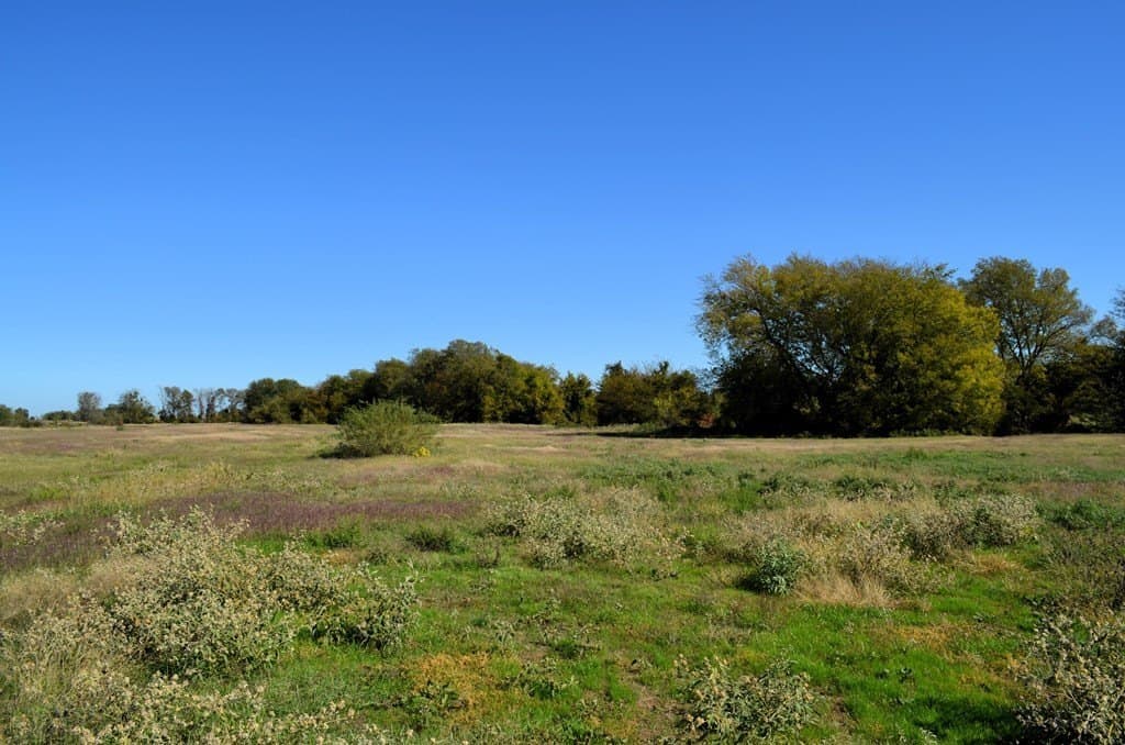 22.01 acres in Van Zandt County - photo 6