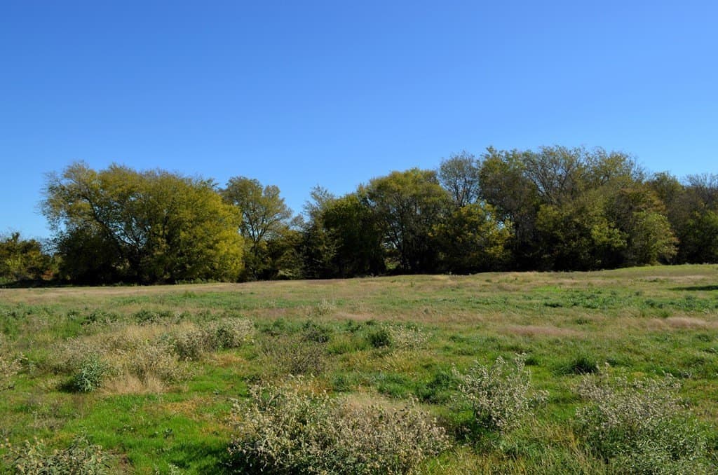 22.01 acres in Van Zandt County - photo 5