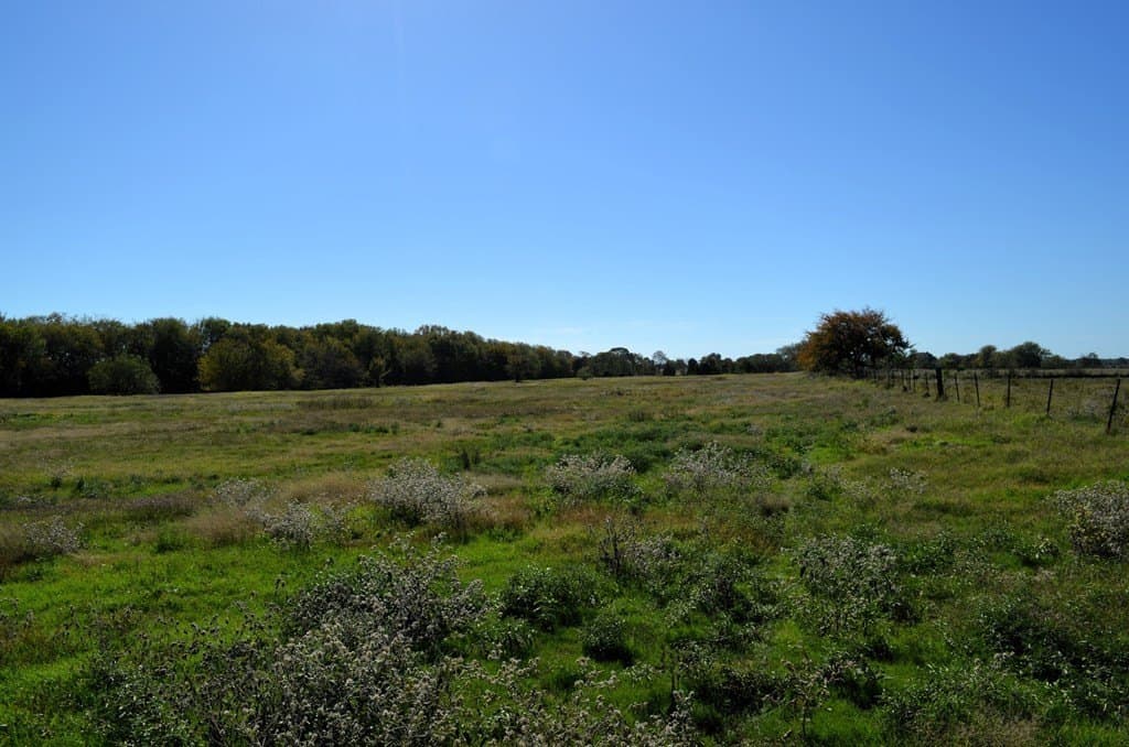 22.01 acres in Van Zandt County - photo 22