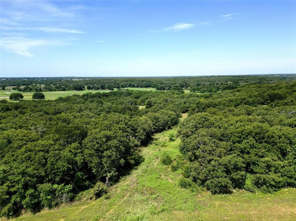 10 acres in Wise County - photo 7