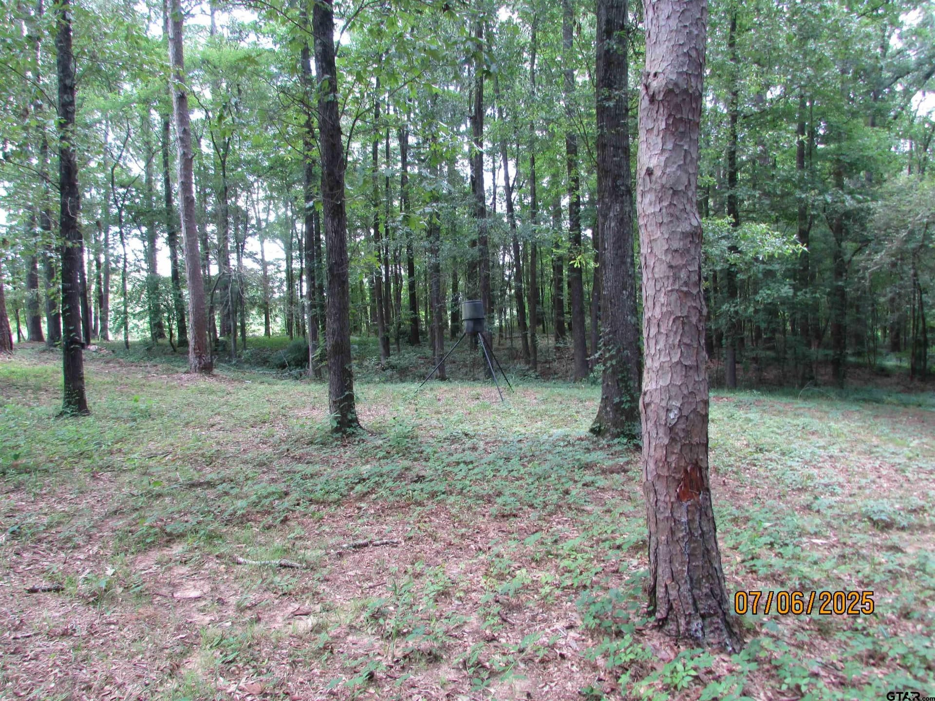 28.2 acres in Anderson County - photo 6