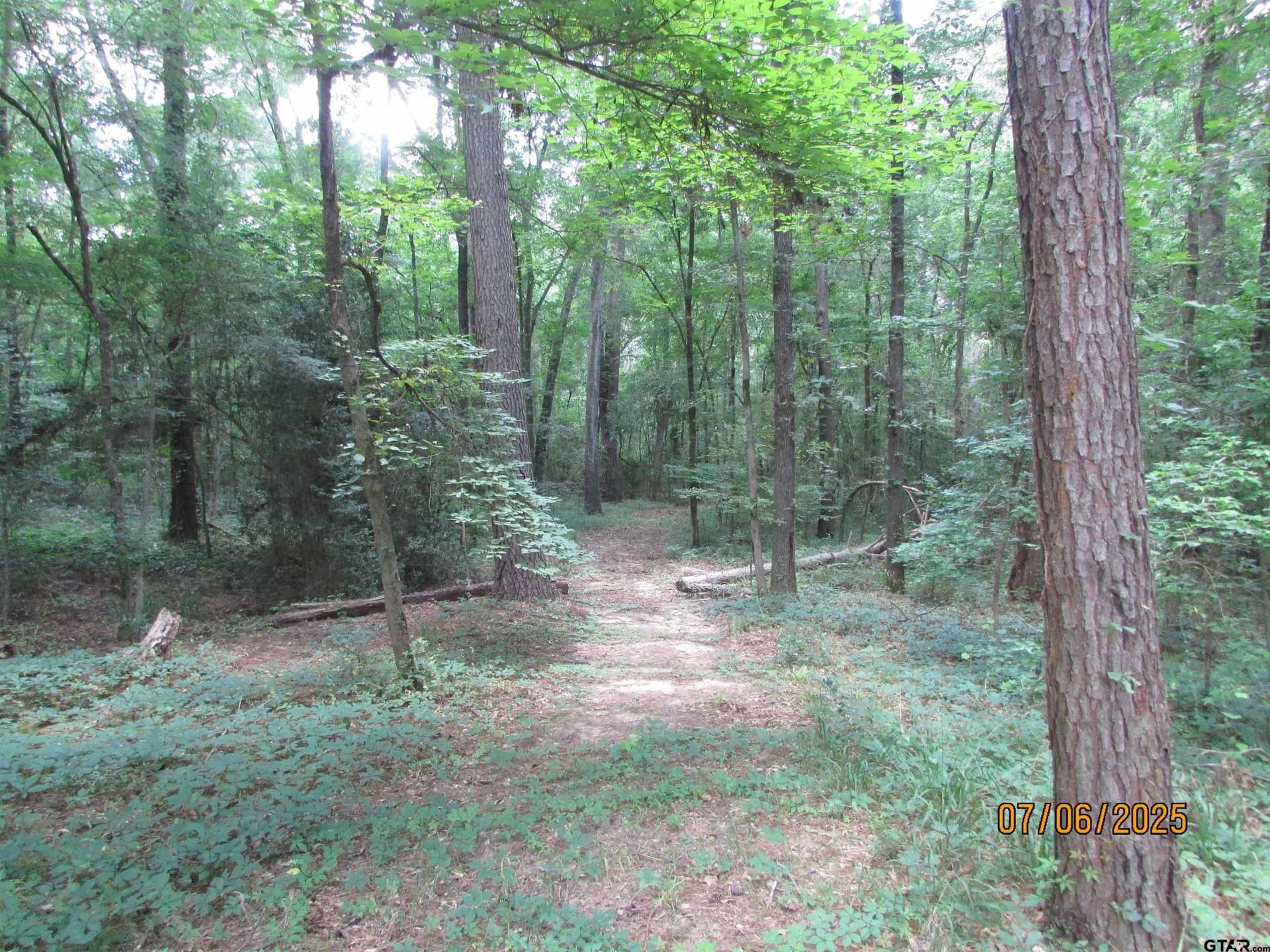 28.2 acres in Anderson County - photo 4