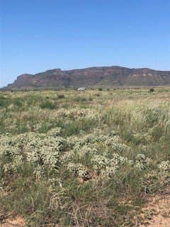 13.25 acres in Brewster County - photo 2
