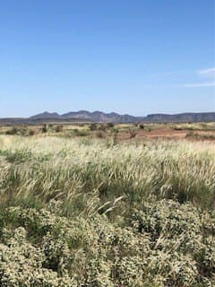 13.25 acres in Brewster County - photo 4