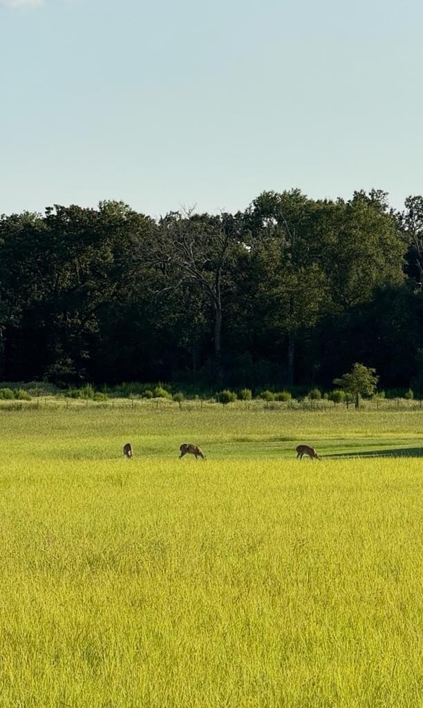 12 acres in ANDERSON County - photo 58