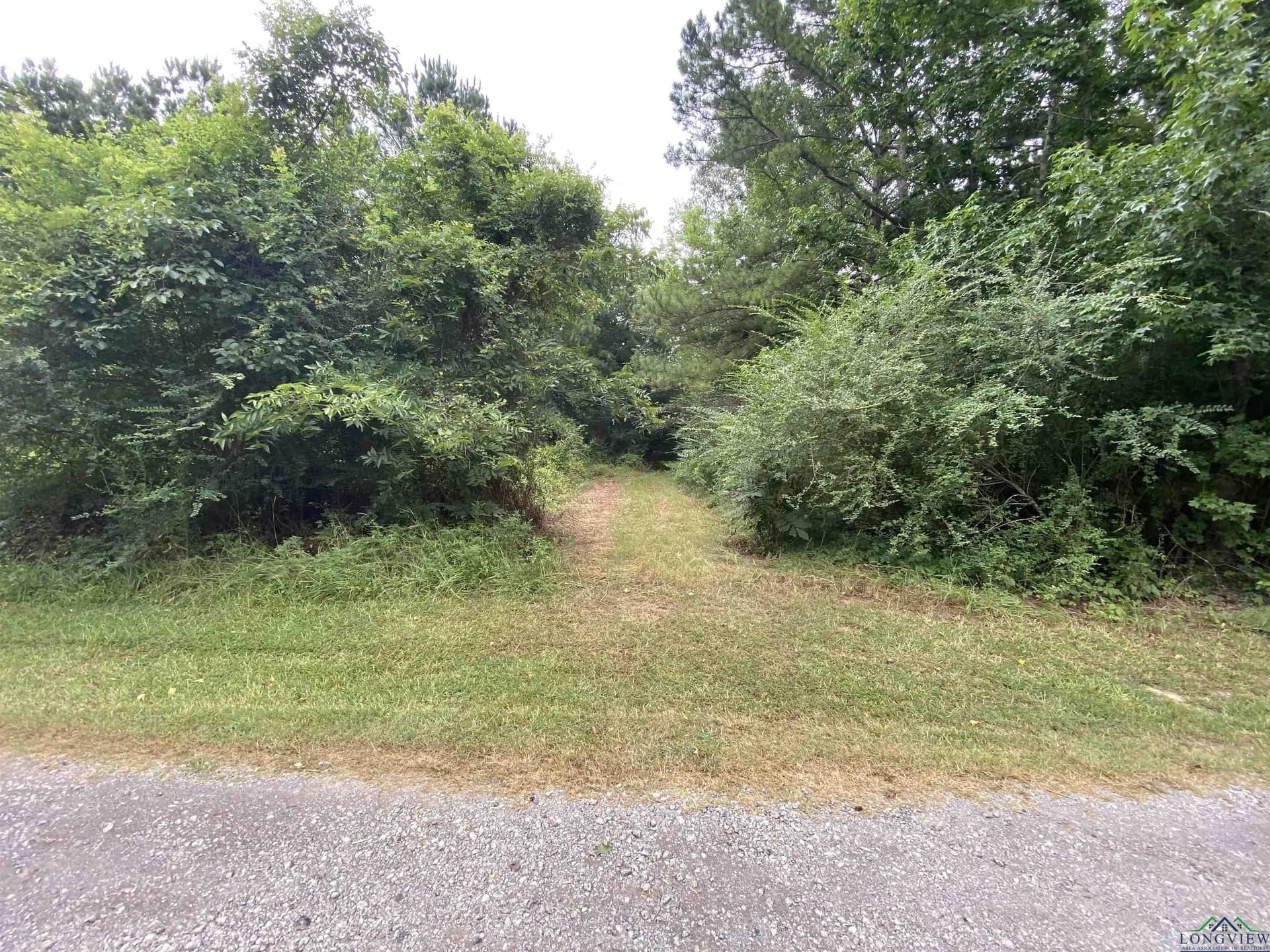 60 acres in Panola County - photo 9