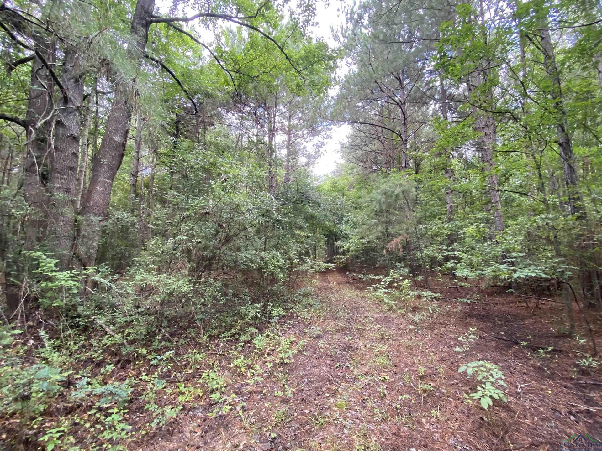 60 acres in Panola County - photo 30