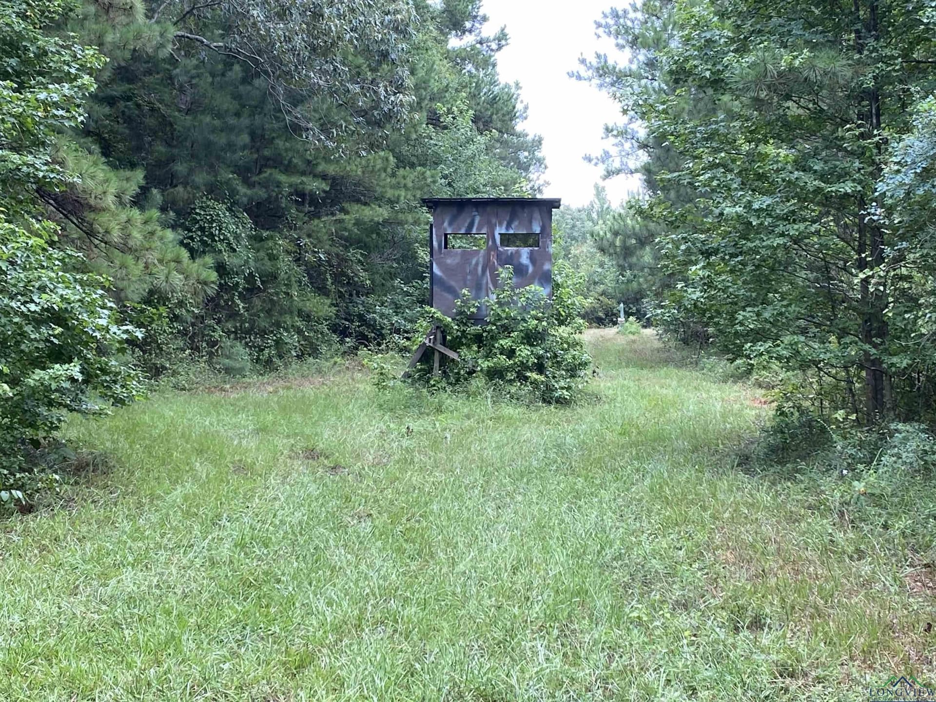 60 acres in Panola County - photo 17