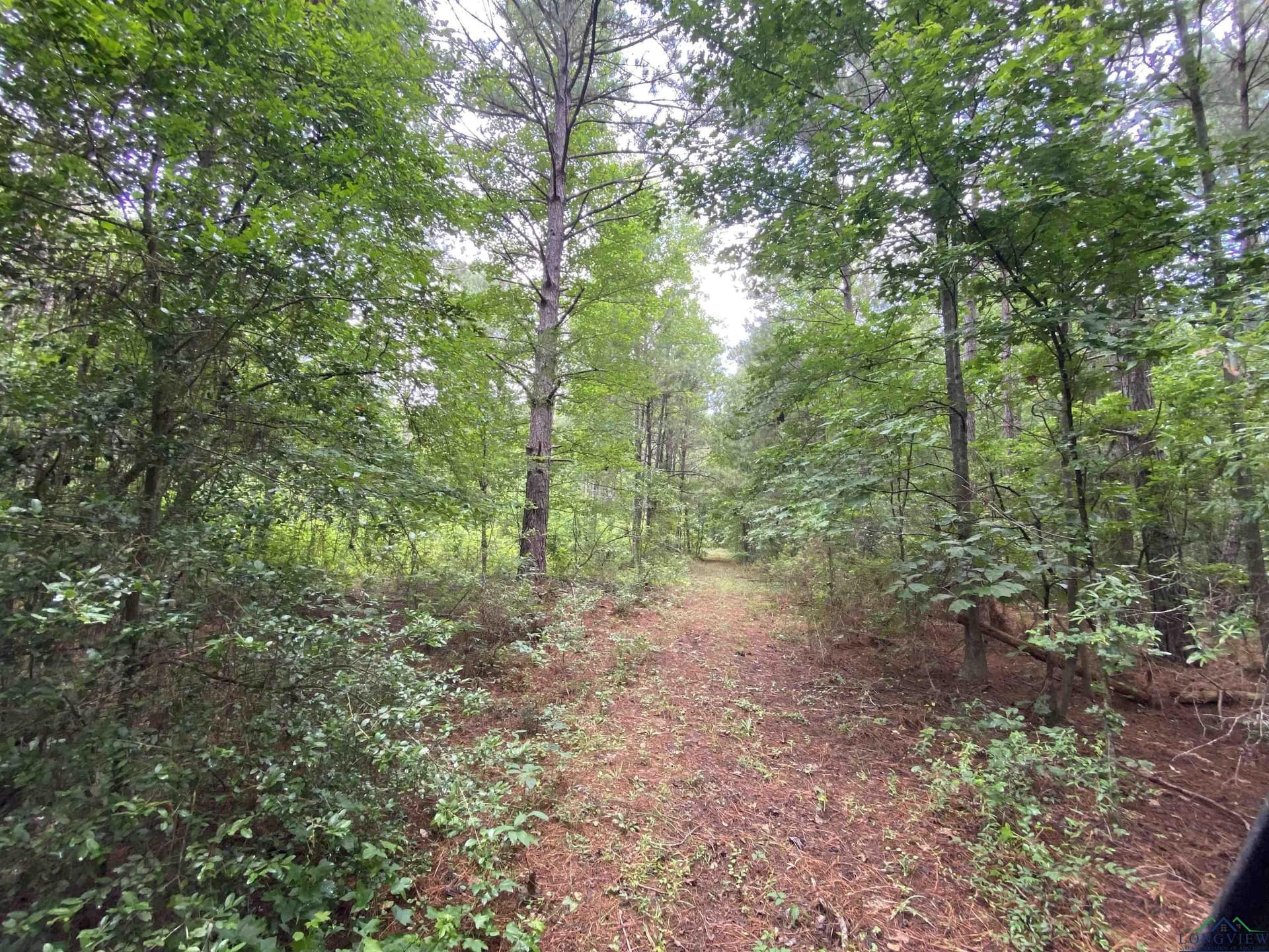 60 acres in Panola County - photo 32